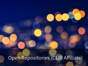 开放存储库（CLIR附属公司）。背景图片：装饰在焦点黄色光在晚上。